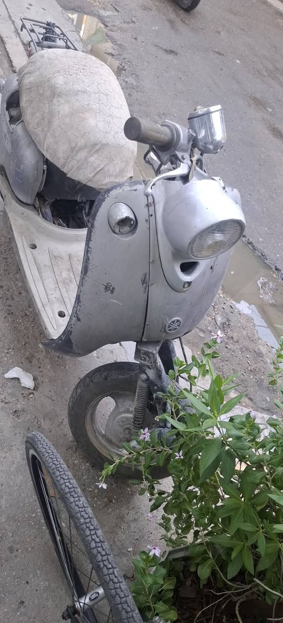 دراجه عبد الحليم
محرك باله جديد ٨٠ 
كابريتر باله خطين 
هلشوفه بلصور نكره ناعمه وخير من الله محرك مكفول السعر ١٠٠ قفل من الاخير يرادله ترنيبات بصيطه. إذا اكو بايسكل بناتي اراوس 
هذا رقمي *********** مكاني بغداد الكرخ @
