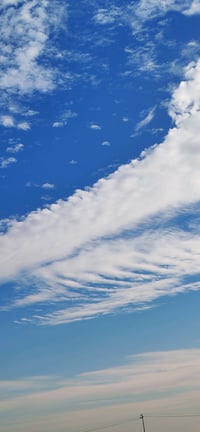 بابل الشوملي • ٢٠٠٠م • سند٢٥