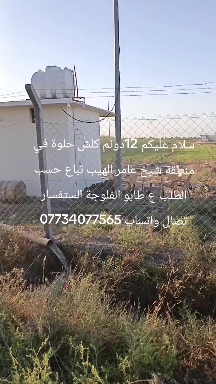 سلام عليكم دوانم جميله موقع جيد التاجي ذراع دجلة طابو سند 25 خدمات كاملة ماء اسالة وسقي وكهرباء وسوق مدارس منطقة ريف كلش حلوه الحياة هنا تختلف عيش برفاهيه                (اخذلك دونم 2500 متر او دونمين 5000 متر سعر الدونم 45 مليون ) 
 رتب بيهة مزرعه عائليه ترتاح كلش البناء مسموح سوق مدارس كلش حلوه المنطقة وقريبه على بغداد 
اي استفسار بخصوص الدوانم على الرقم واتساب ***********

