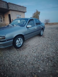 فكترا ١٩٩٤ • صبغ جمالي • زمار