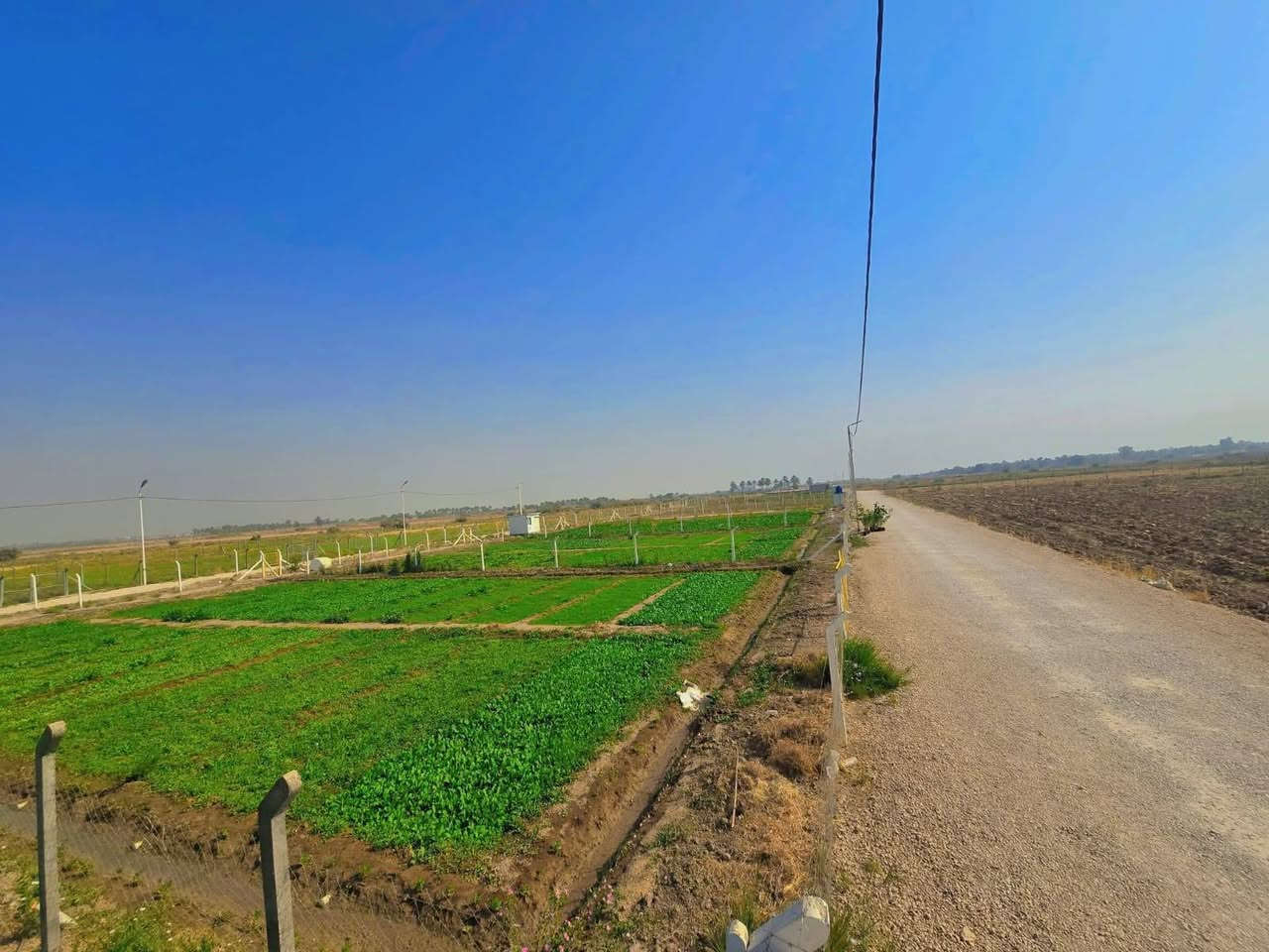 مزارع للبيع عدد 3 
مساحة المزرعه 1000 متر
خلف مجمع توحيد العفلوكي الاول شارعهن وي السكه
سند 25 
تفاصيل اكثر مراسلة الصفحة


**إذا كنت صاحب هذا الإعلان وتريد حذفه لأي سبب، رجاءا أرسل رسالة إلى الدعم الفني**