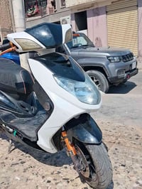 سكنس فحل نوزل طلاعات خطين  طلاعات رياضي وصدر رياضي ويل مزوعه غراض كدام...