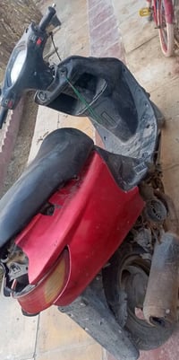 فراشه • شغاله • نجف كوفه