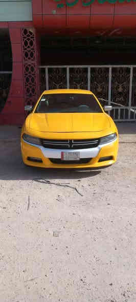 تشارجر 16 معلايه 18 سياره حادثها جاملغ وبنيد جاهزه مكينه جديده قبل شهرين شادها  كير خير من الله  حداديه جديده السعر 157$  وبيها مجال سياره حلوه
الشراي يتصل على الرقم ***********
اخوان مكلف بالنشر الشراي يتصل
