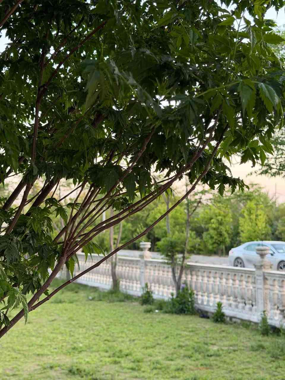 قال الله تعالى ﴿وَقُلِ اعمَلوا فَسَيَرَى اللَّهُ عَمَلَكُم وَرَسولُهُ وَالمُؤمِنونَ....
﴾ [التوبة: ١٠٥] بعد التوكل على الله متوفر  قالب سياج  حدائق بانسب السعارهاذة جزء من شغلي اتمنا ينال اعجابكم  وحياكم الله للأستفسار الأتصال.***********
قال الله تعالى ﴿وَقُلِ اعمَلوا فَسَيَرَى اللَّهُ عَمَلَكُم وَرَسولُهُ وَالمُؤمِنونَ....
