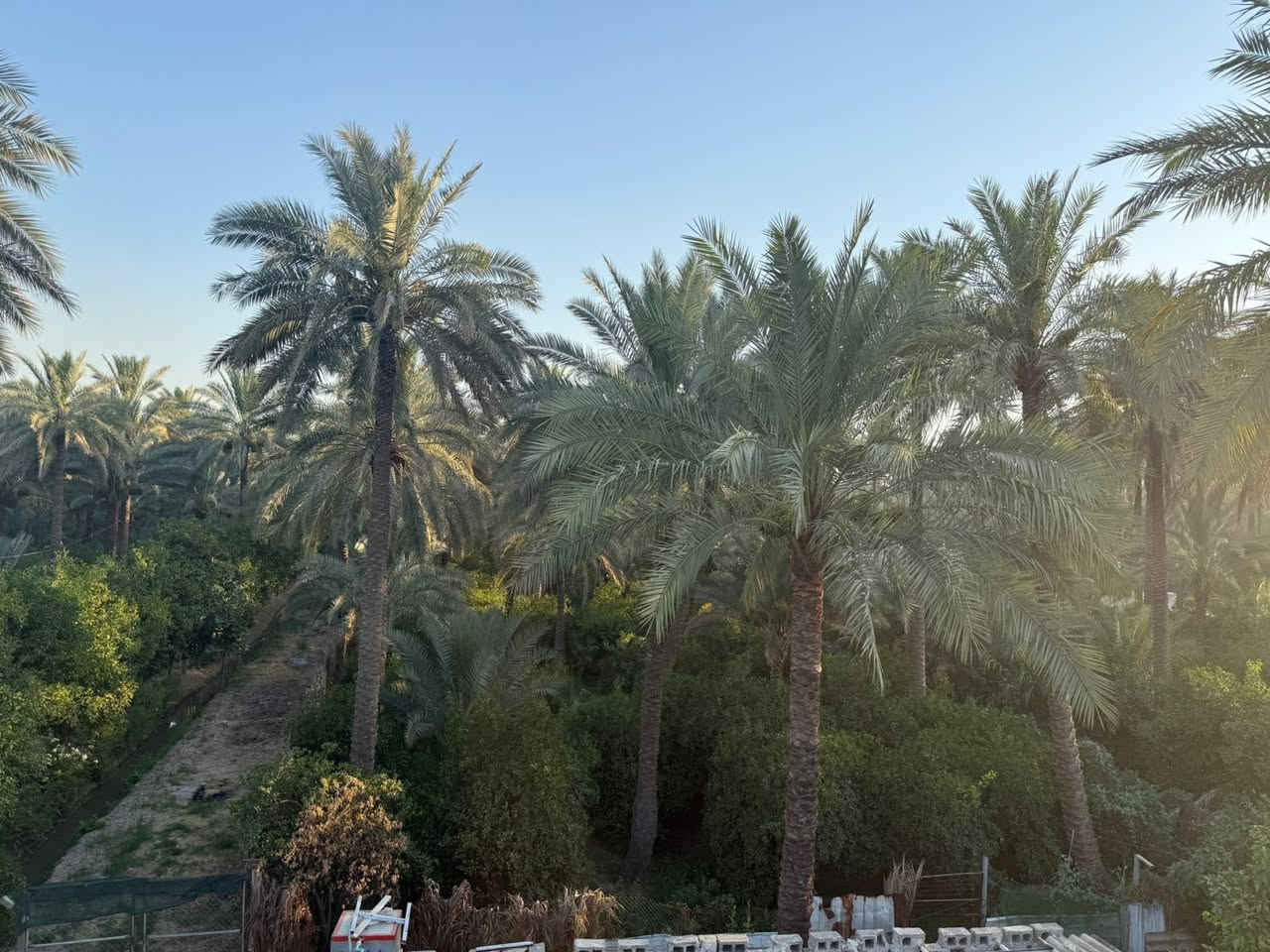 بستان في منطقت الراشديه  محمل بل ثمار والاشجار بستان حمال ريهم مزرعه شاليه كلش حلو بصفه الشارع السده مال دجله وخمس دقايق من سريع بغداد موقع كلش مميز وحلو وسعره همين ***********
