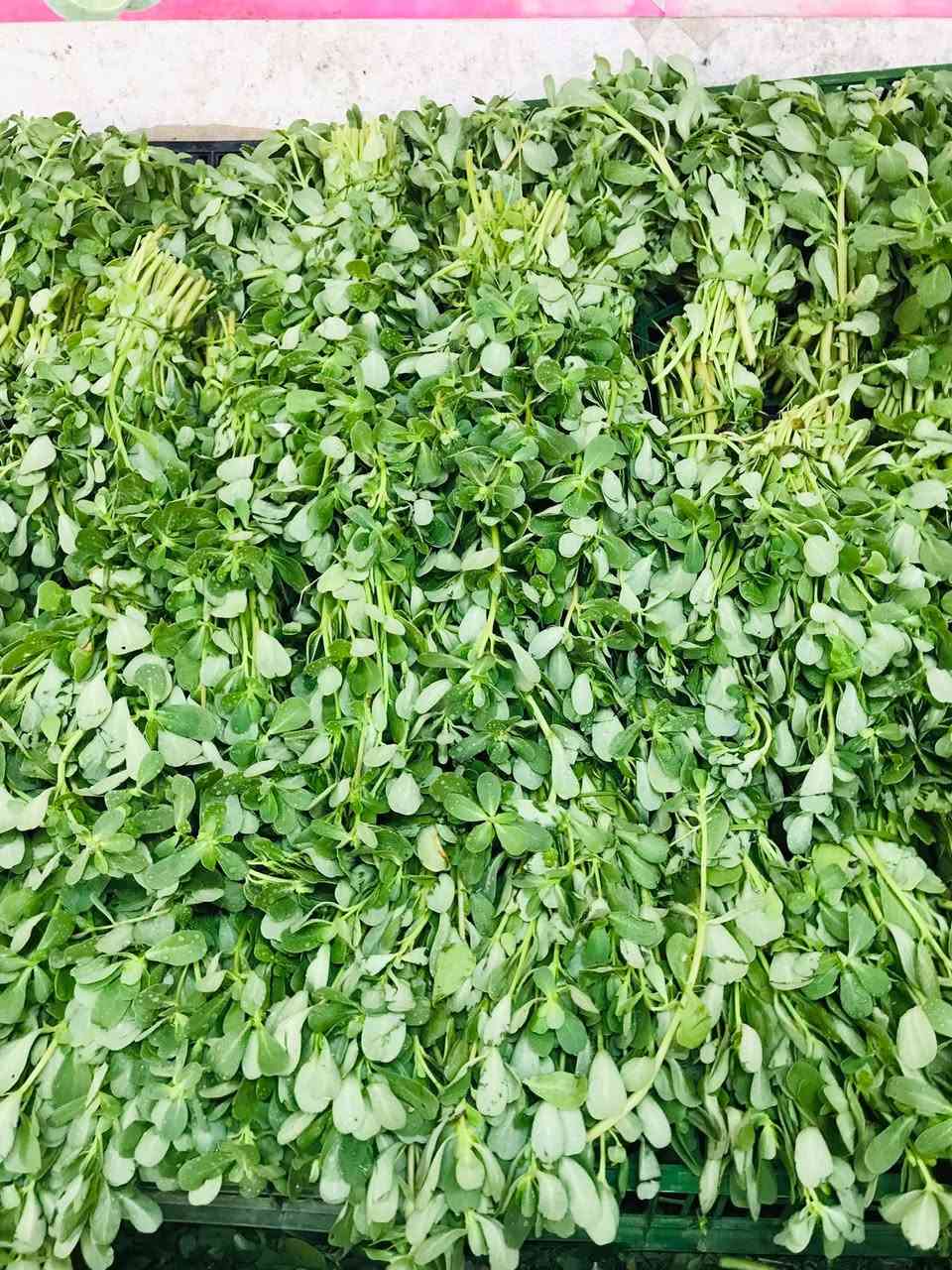 تشكيله خضراوت كامله


**إذا كنت صاحب هذا الإعلان وتريد حذفه لأي سبب، رجاءا أرسل رسالة إلى الدعم الفني**