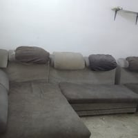 تخم ديوان • بي مجال