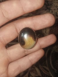 محبس داودي • مصور عينين • شغال