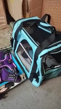 شلعه أغراض حيوانات 22ينحسبن 20كلهم شلع السعر 50 تواصل واتساب 077377111...