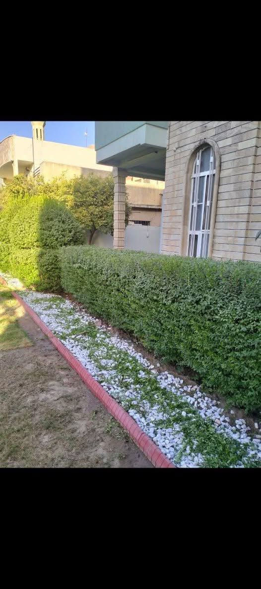 السلامه عليكم يوجد كادر عمل  ديكورات حدايق وزراعه وفرش زميج  كادر جاهز ومتفظي الرقم ***********
