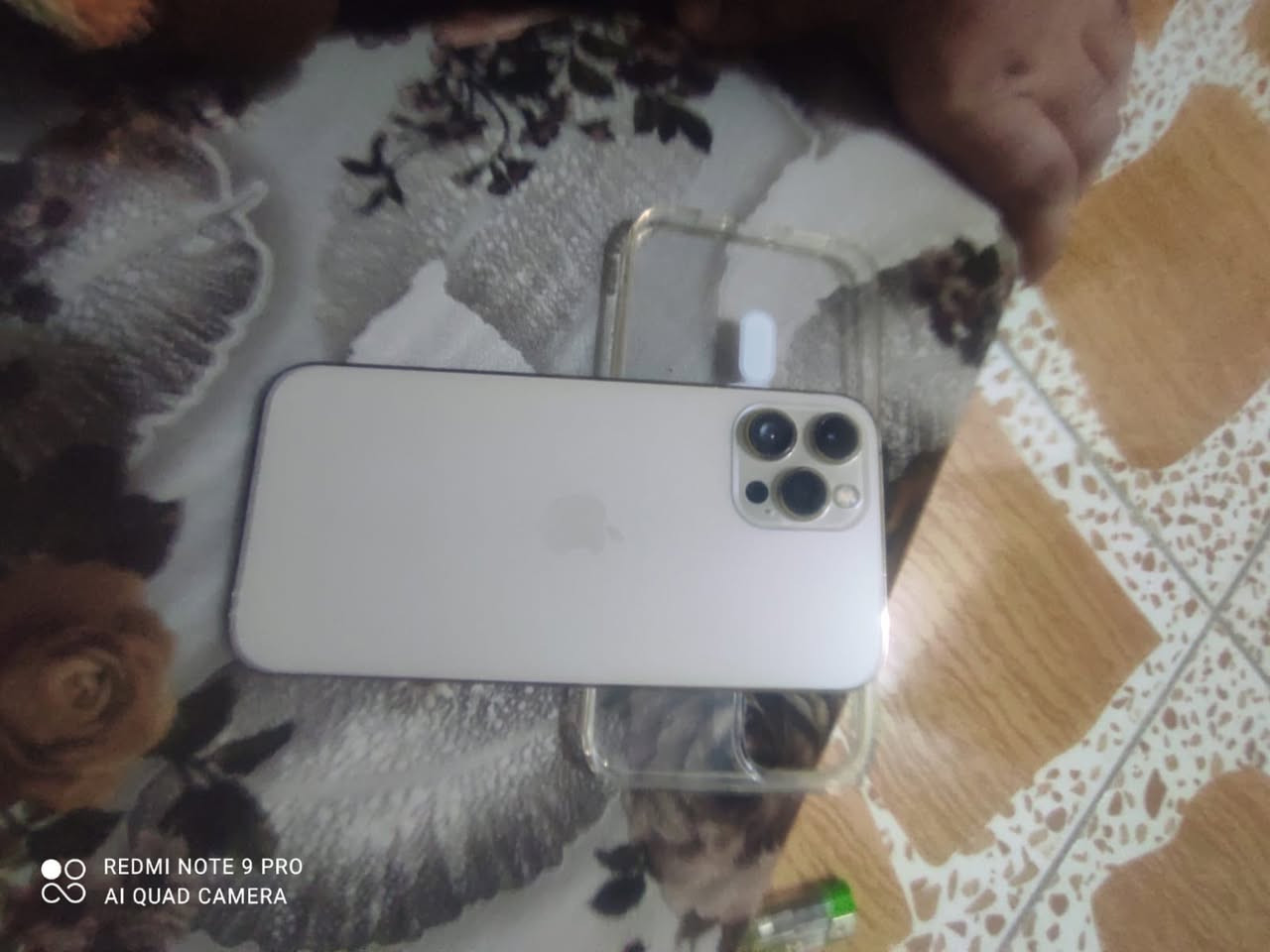 ايفون 12 pro max بطاريه ٨٣ بلاديه مستبدل شاشه تفصيخ ام الضمان مراوس بدراجه


**إذا كنت صاحب هذا الإعلان وتريد حذفه لأي سبب، رجاءا أرسل رسالة إلى الدعم الفني**