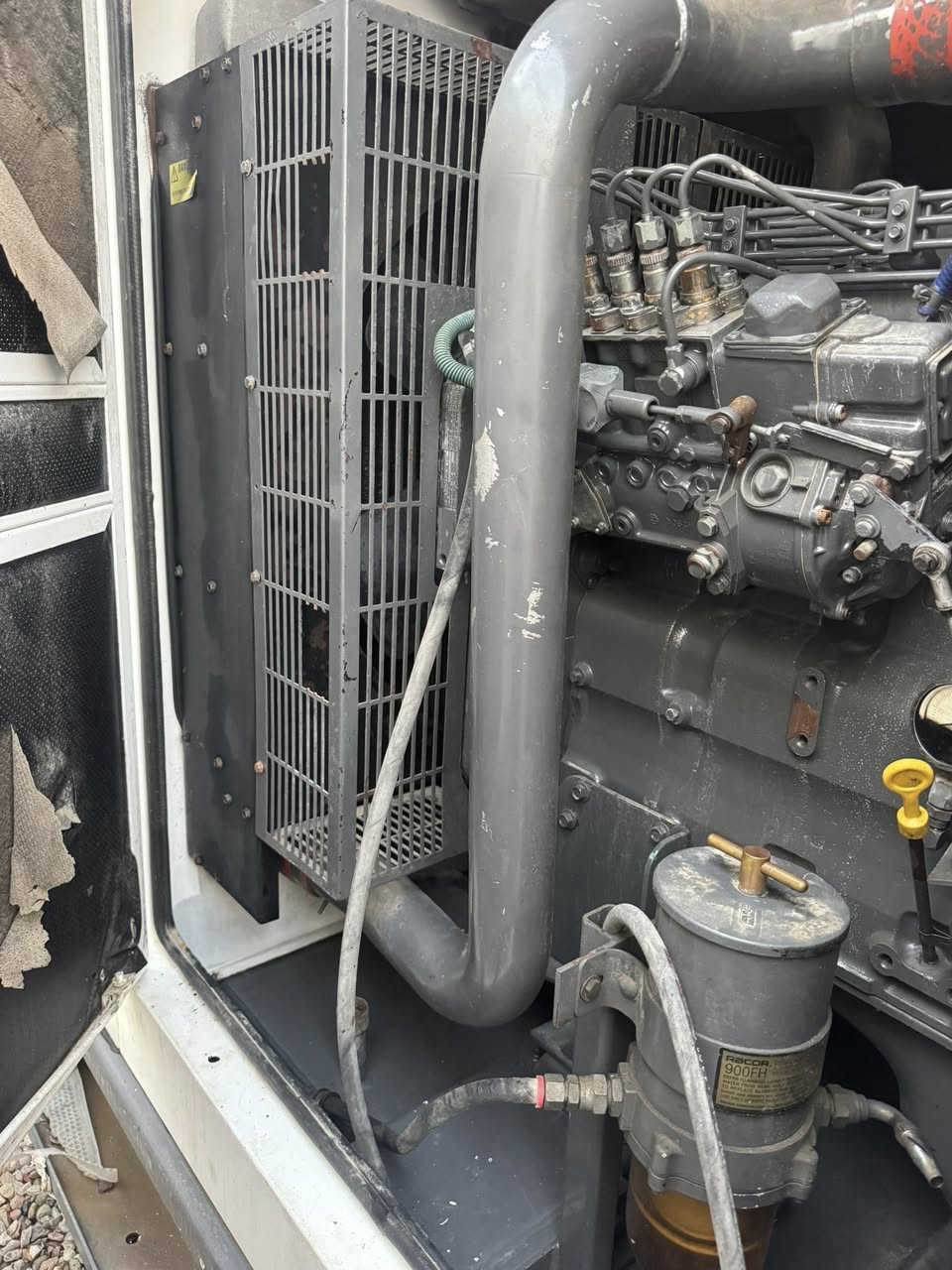 سلام عليكم 

موليدة كمنز اكريكو (١١٤)

١٢ ولف كلش حلوه 

(0️⃣ 1️⃣ 2️⃣ )كيفي بشرط حمل
 
موجود من كراج عدو خوشناو من اربيل طريق كركوك قشتبة

*********** واتس اب 
 *********** واتس اب
