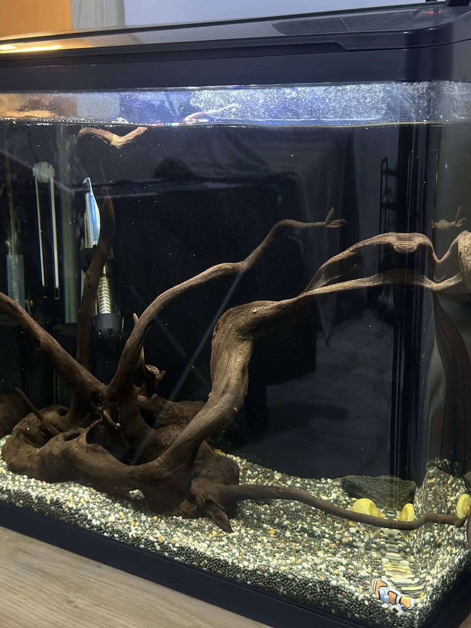 حوض سمك قياس 50 كامل ملحقات انارة وهيتر وفلتر وماطور واخشاب ديكور مائية حقيقية وارضية سويل تربة للزراعة مثل ما موضح بالصورة تكدر تزرع بي نباتات طبيعية مائية جاهز بس تجيب سمج تخلي بي السعر 75 الف وبي مجال مكاني كركوك حي العسكري 
***********
