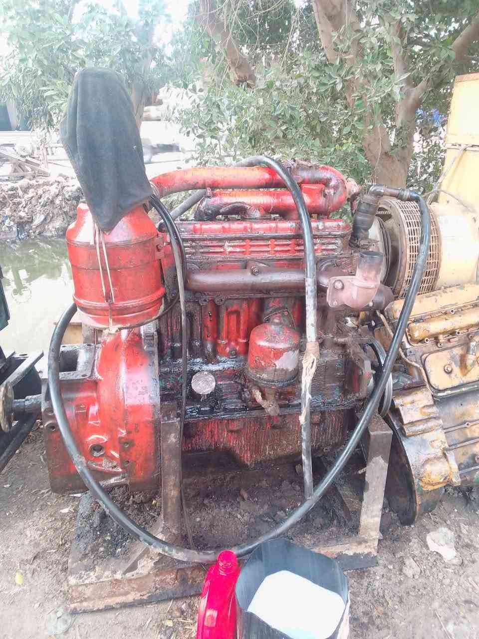 يوجد قطام روسي وقطام افقوا للتواصل 01225878572


**إذا كنت صاحب هذا الإعلان وتريد حذفه لأي سبب، رجاءا أرسل رسالة إلى الدعم الفني**