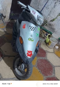 بيجي • سلف • شاير كلوب