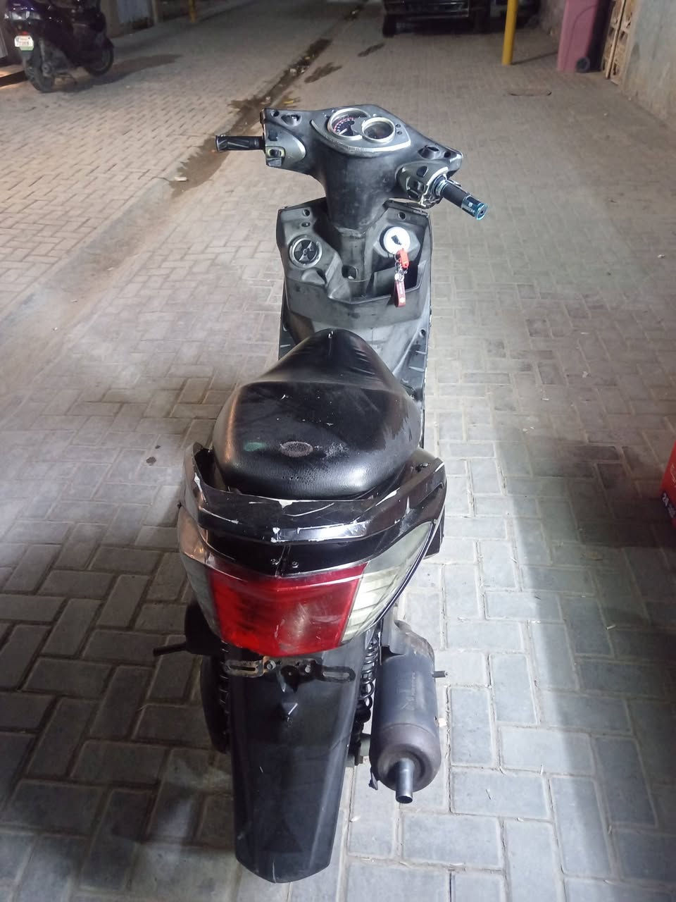 سكنس فحل دراجة كاملة اي نقص مابيها جاملغ امامي كاربون فايبر وصالصنة TMR  مكاني حي اور السعر 550
***********  إتصال او واتساب
