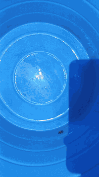 تاسيس صحيات • ماء ومجاري • حفر