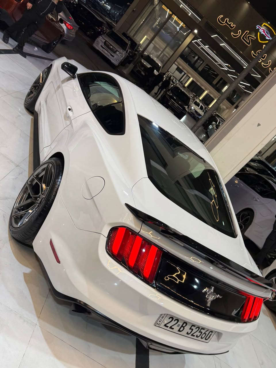 السلام عليكم اخوان موستنك مقدس للبيع مراوس☠️
سعرها جوة سوك فقط ١٦٥$💵 ورقة بيها مجال  
موديل ٢٠١٧ سيارة جديدة كلين تايتل يحني بدون صبغ 
بدون رصعة بدون مفتوع سيارة جاهزة محرك ٦ سلندر 
مرغوب ماشي فقط ٤٣ الف ميل حقيقي ضمان 
مواصفات ٦ سلندر معروف كاميرا تشغيل عن بعد شفتات ستيرن بعد بيها مواصفات 🇺🇸😈
كير محرك اكسل مشط ستيرن حدادية كهربايات 
كل ضمان برغي ماملعوب مامفتوع سيارة مرقم اربيل تعويل وكالة نفس يوم موجودة ب اربيل *********** أربيل, العراق
