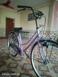 باسكل • بنفسجي • ديوانية دغارة