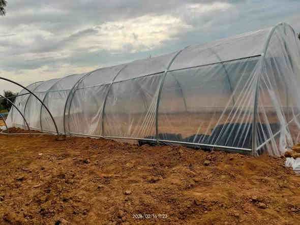 دوو جۆر بەیتی 6بە4رمان بۆهاتوتەوە نوییە بێچادرە جۆرێکی لەبۆری ئینجوڕوبح دروست کراوە نرخی85000هەزارە جۆرێکی تریشمان لەبۆری ئینجونیوی دروست کراوا نرخی110000هەزارە ناونیشان چوارقوڕنە گوندی گرجان کۆگای ڕێباز تۆربەی ژم***********ژم***********گەیاندنیشمان هەیە رانية
