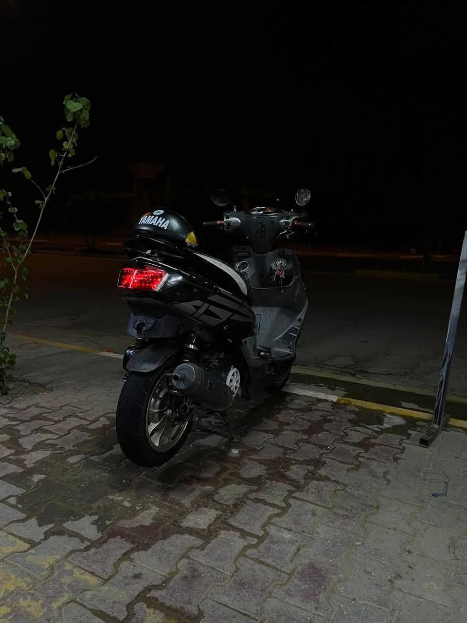 سكنس فحل للبيع خطين موديل 2012 الدراجه ما مفتوحه مزوده قليل العنوان كربلاء السعر 950 للاستفسار ***********
