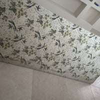 صوميات • عدد ٢