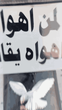 سلام عليكم تايكر البيع موديل 21اوراق كاملة كبل ترقم مكينة تشك الكاع شلعة فصلة السعر 550 //***********
