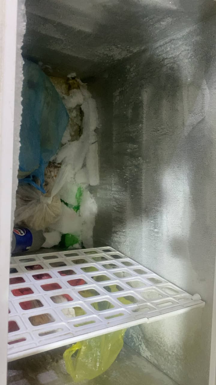 مجمده سعرها 125 مداخله تصليح العنوان بغداد العطيفيه


**إذا كنت صاحب هذا الإعلان وتريد حذفه لأي سبب، رجاءا أرسل رسالة إلى الدعم الفني**