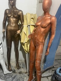 ملكانات للبيع عل وضعهن شلع بسعر مناسبه قيم وتعال اخذهن مكانهن بغداد 07...