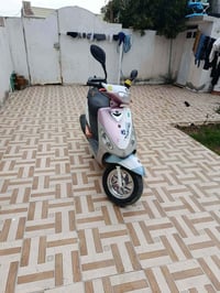 ماكس مغولي • سعر خاص • معدلة