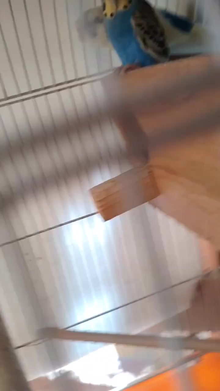 شكري وبلاك ونج مع بناتهن ٣ مع خانة. ٤٠ ألف مكان حلة مركز


**إذا كنت صاحب هذا الإعلان وتريد حذفه لأي سبب، رجاءا أرسل رسالة إلى الدعم الفني**