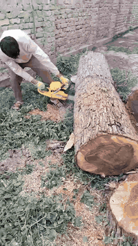 *********** @***********كادرمتخصص لقطع الأشجار والنخيل كروب قطع الأشجار والنخيل *********** ***********
