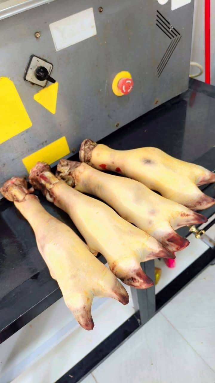 متوفر يوم غد كراعين عجل فرش درجه اولى 
 3 كيلوات كراعين عجل السعر 15 الف
للحجز *********** بي واتساب 
او مراسلة الصفحه 
تتوفر خدمة التوصيل داخل النجف والكوفه 
العنوان النجف الأشرف بداية ملحق الروان مقابل حلويات المنار
