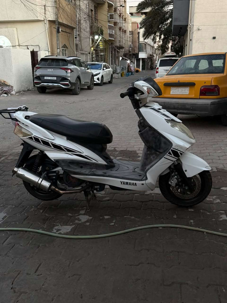 سكنس فحل ياباني مال مزاد قبق نفخ استاند حساس كله بلادي ع وضع المزاد مكان اعظمية *********** السعر ١٥٠٠
