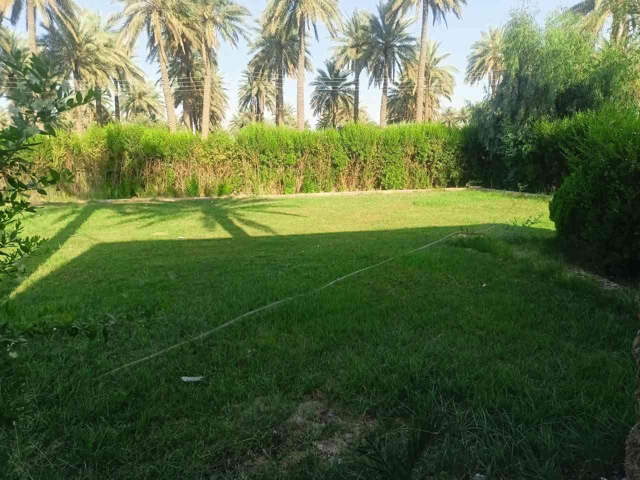دونم ونص مع دار م ٤٠٠متر طابو صرف زراعي خمس غرف نوم استقبال عدد ثنين هول حمامات ٣ +مخزن مطبخ
رقم الهاتف   
***********
دونم ونص مع دار م ٤٠٠متر طابو صرف زراعي خمس غرف نوم استقبال عدد ثنين هول حمامات ٣ +مخزن مطبخ 
بغداد شاعوره
