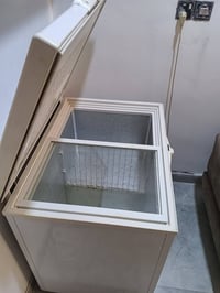مجمدة • جديدة • الخطيب الزراعي