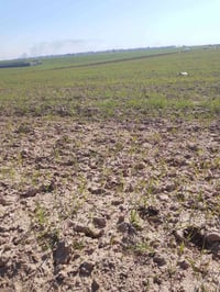 ارض • ٢٠٠م • قرب دجله