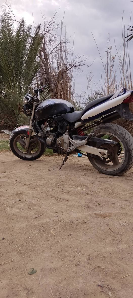 بيع او مروس
هوندا هورنت
مكينه جيس
تواير جيس
ضفيره بلاد
عقل مبرمج
وراق اصولي
فقط نقصها كابريترات
وصيغ لتاتكي تانكيها من جوه كزازه اي زنجار ماكو
كهربائيات كلشي شغاله
ناصريه
***********
