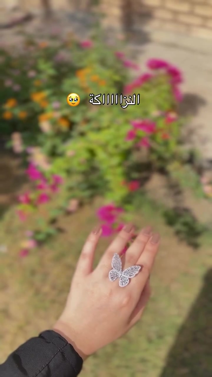 خاتم الفراشة 🦋✨
طلاء ثابت ✨


**إذا كنت صاحب هذا الإعلان وتريد حذفه لأي سبب، رجاءا أرسل رسالة إلى الدعم الفني**