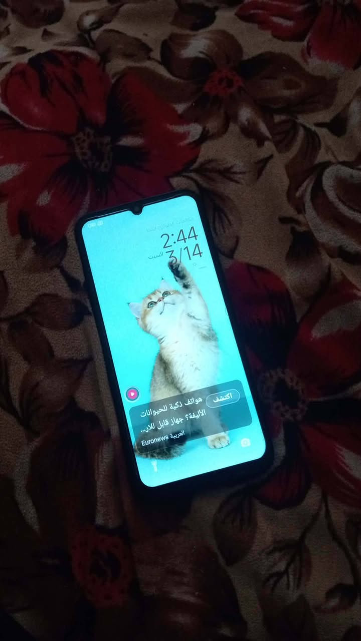 ذكره ٢٥٦مكاني محاويل  ***********
