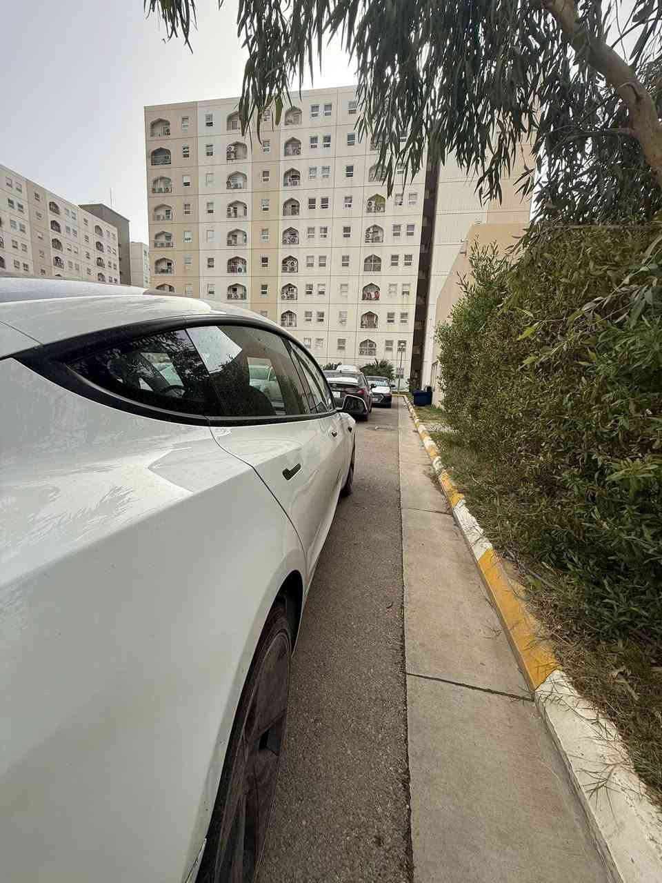 السلام عليكم مراوس النترا ان لاين ٢٠٢٣ نظيفة
تيسلا  موديل 23 ماشيه 23 ميل زير فول مواصفات رادارات بكل الجوانب مع نضام قياده ذاتي واتو بارك قطعتين صبوغ فقط  *********** واتساب
