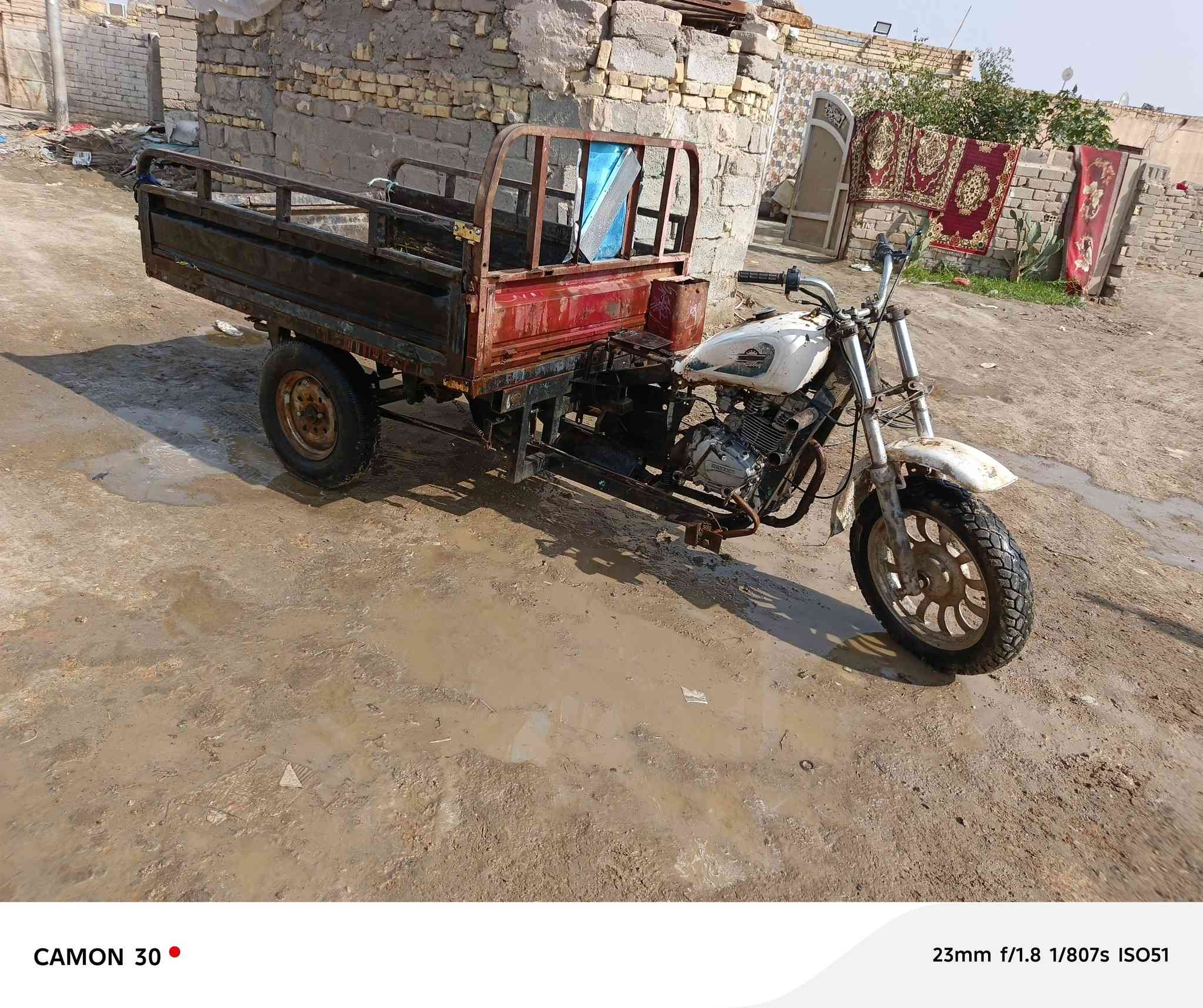 ستوته البيع كلك كلك مكاني الفهود ***********
