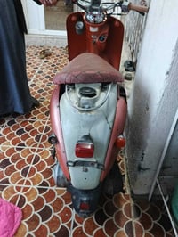 عبدالحليم • نظيف • شغالة