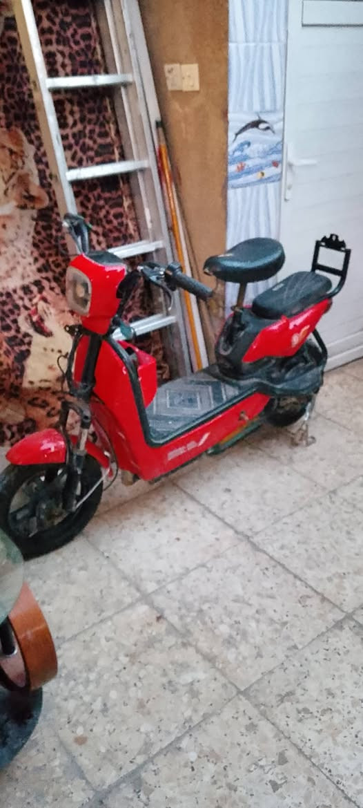 سلام عليكم دراجة شحن البيع 2025 بصمتين وسويجين تايرات جدد بطاريات جدد دراجة مناقصهة شي خير من اللة شاحنة الصلية مالتهة دراجة تشغيل عن بعد انذار وحساسات سعر 175 وبيهة مجال العنوان بغداد الشعب شارع الصحة


**إذا كنت صاحب هذا الإعلان وتريد حذفه لأي سبب، رجاءا أرسل رسالة إلى الدعم الفني**