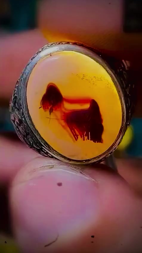 #المالكي_للاحجار_الكريمة #السلام_على_زينب


**إذا كنت صاحب هذا الإعلان وتريد حذفه لأي سبب، رجاءا أرسل رسالة إلى الدعم الفني**