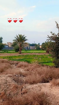 نص دونم • حي لبتول • سده شطيط