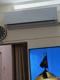 وبركاته سبلت 2 طن للبيع شركه الوادي جديد برمضان شتريته مكاني الحريه دب...
