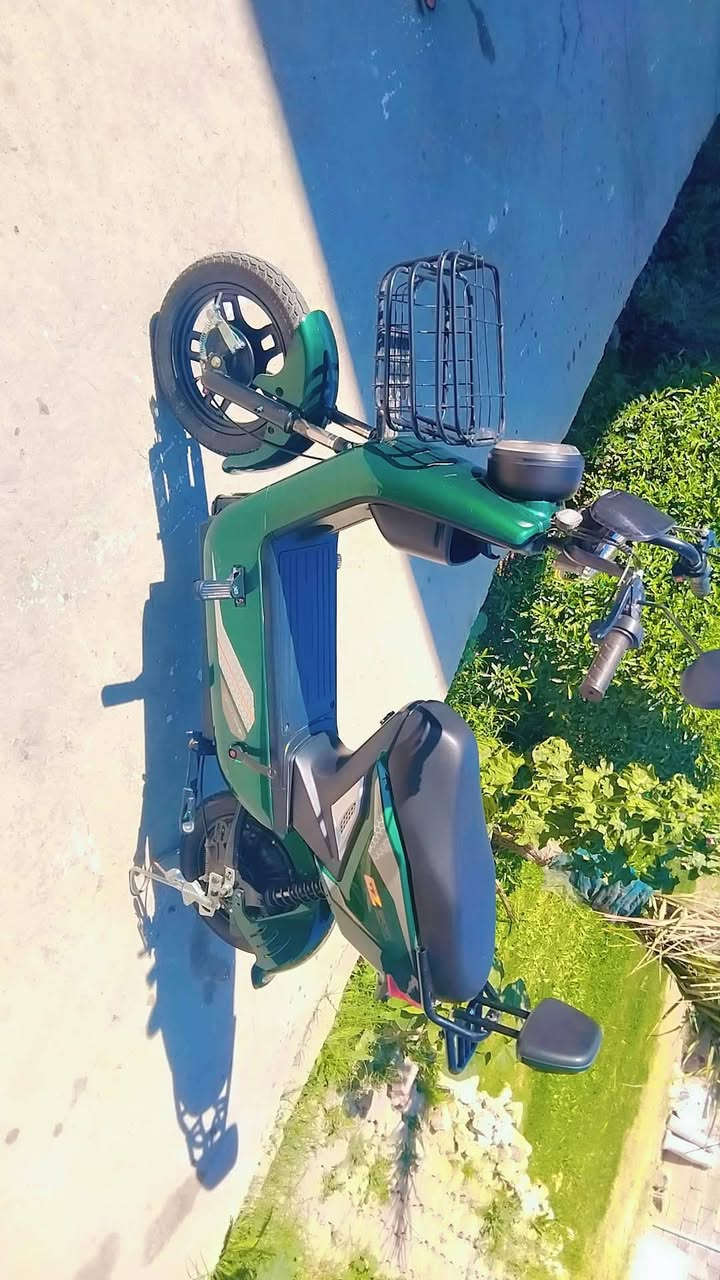 السلام عليكم هاي الدراجه للبيع فول موصفات السعر 350 وبيها مجال العنوان بغداد الدورة البوعيثة بداية سيطره البوعيثة مجمع السلام رقم الهاتف ***********
