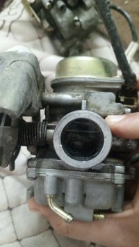 كابريتر فحل واحد اصلي مال تفصيخ والثاني تجاري للبيع مكاني بغداد بلديات...